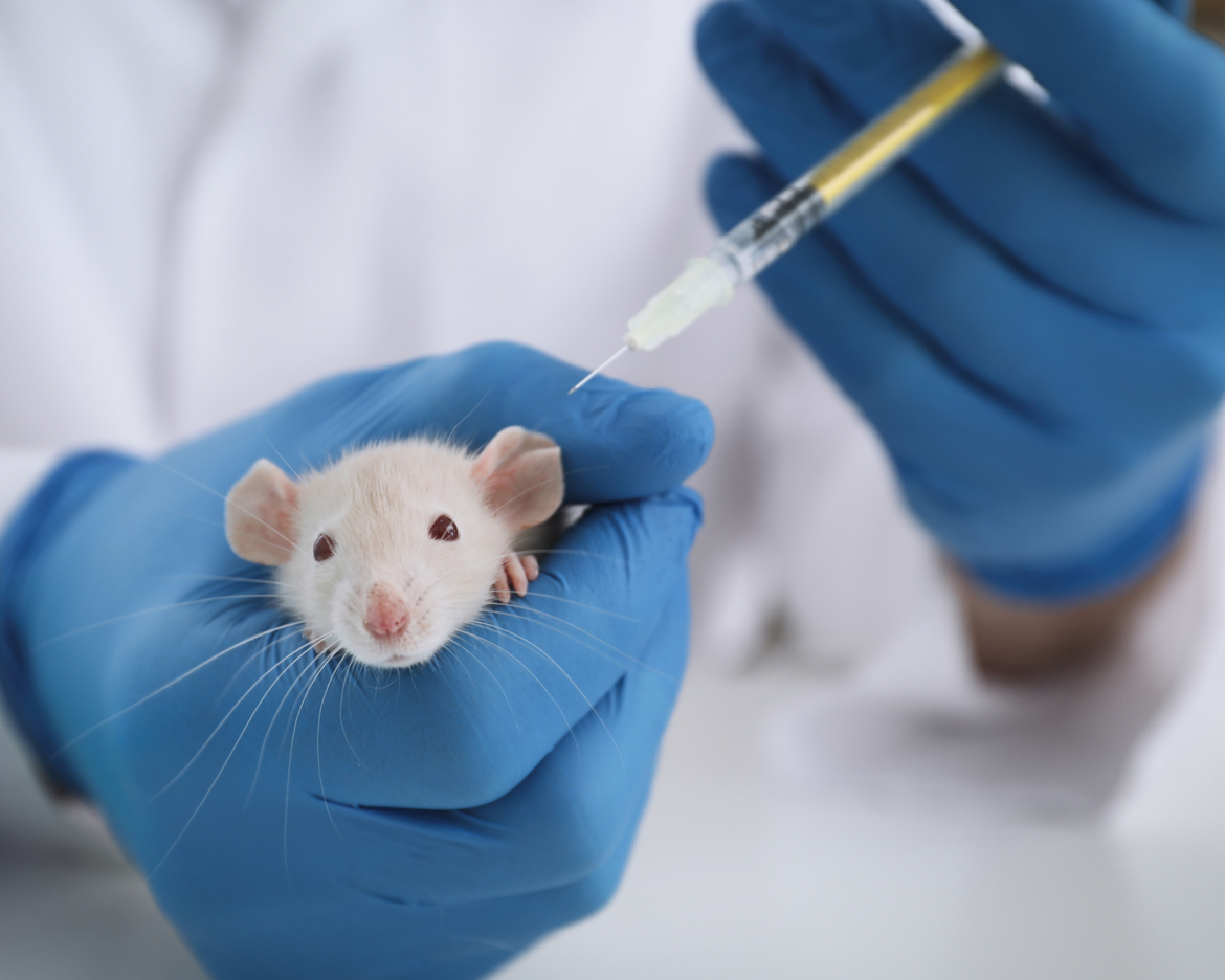 Tegen dierproeven in cosmetica: 6 interessante weetjes